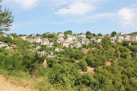 500+ Monodendri Photos Stock Photos, Pictures & Royalty-Free Images ...