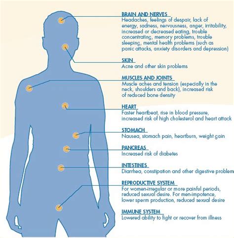 Biological Effects Of Stress On The Body For Work Pinterest