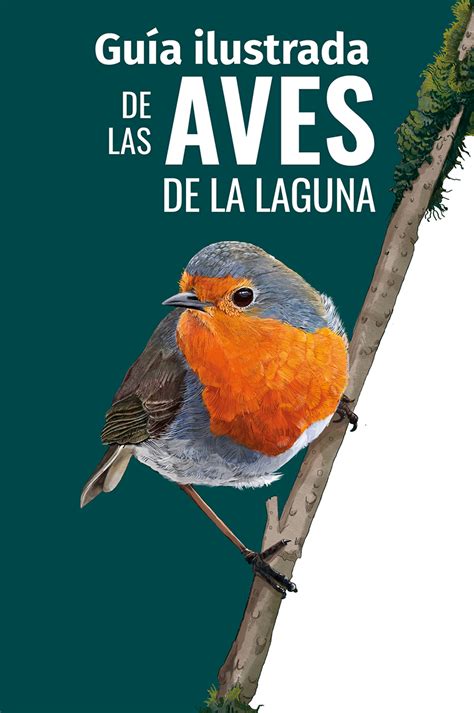 Guía Ilustrada De Aves