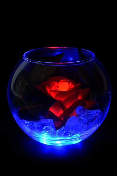 Купить Светящийся цветок Роза в шаре Красная (син) в MotionLamps.ru