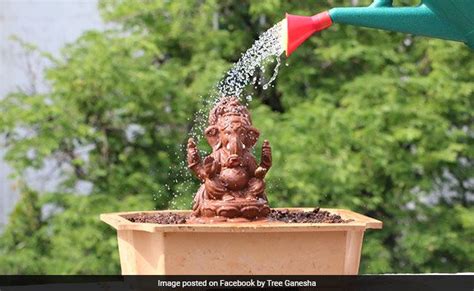 Say No To ‘POP’ Please! Five Eco-Friendly Ganesh Idols To Opt For This Ganesh Chaturthi | Features