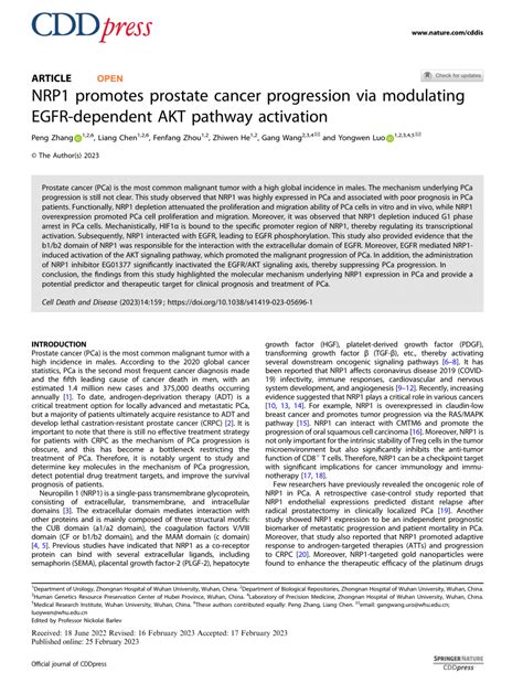 Pdf Nrp1 Promotes Prostate Cancer Progression Via Modulating Egfr