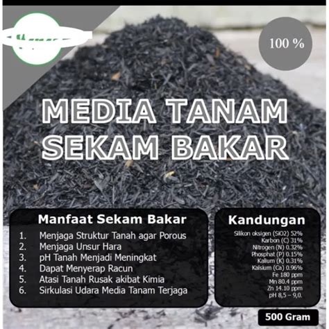 Media Tanam Sekam Bakar Siap Pakai Pupuk Arang Sekam Padi Bakar Murah