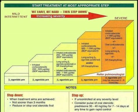 asthma treatment guidelines | Anatomy System - Human Body Anatomy ...