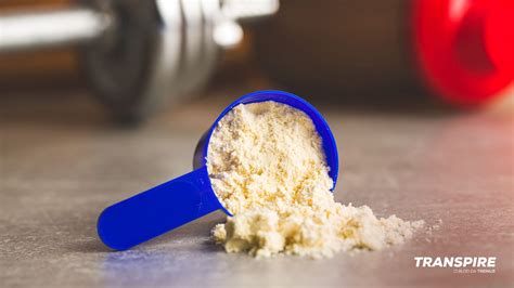 Whey Protein Conheça A Eficácia Do Suplemento Para Além Do Esporte