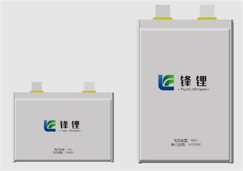 赣锋锂业发布2020年报第二代固态锂电池基于高镍三元正极含金属锂负极材料 要闻 资讯 中国粉体网