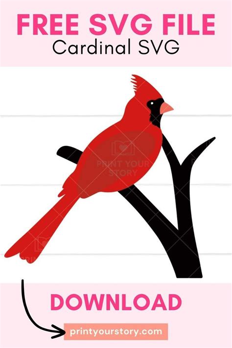 Free Cardinal SVG file for Cricut – Personal Use | Flower svg files, Templates printable free ...