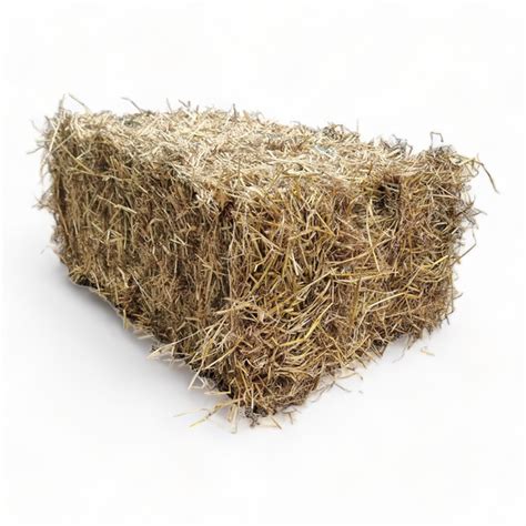 Hay Bale - Grass/Pasture Hay – Rural & Outdoors