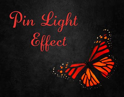 pin light projects   logos illustrations  branding