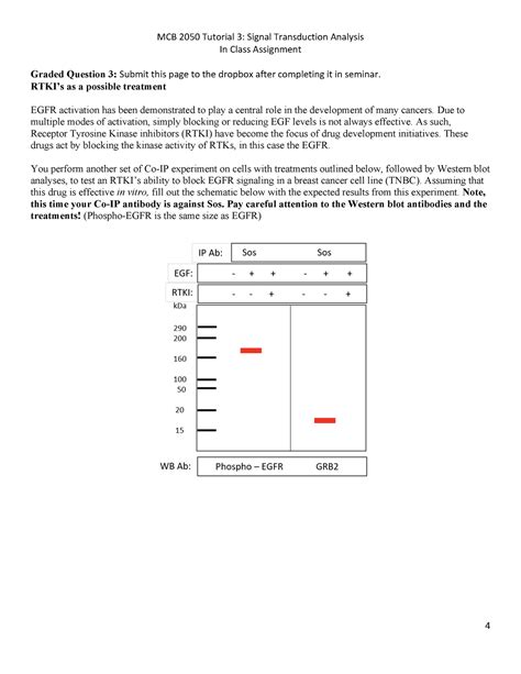 Sem 3 Signal Transduction MCB 2050 Tutorial 3 Signal Transduction