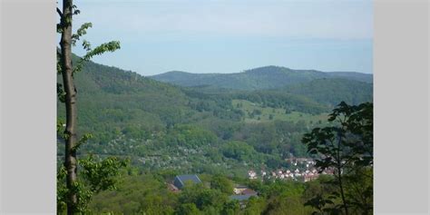 Annweiler Naturparkrundweg Zum Wasgaublick Wanderung