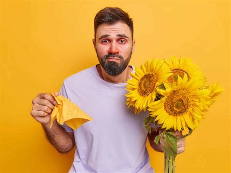 Diario Del Yaqui Inici La Primavera Por Qu Y Cu Les Son Las