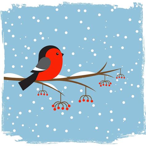 Cute Bullfinch On Branch Rowan 4977843 Vector Art At Vecteezy