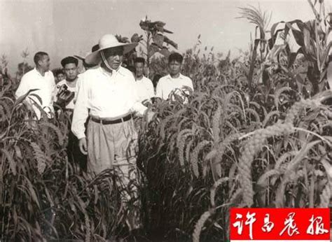 1958年毛泽东冒酷暑视察河南农村手机凤凰网