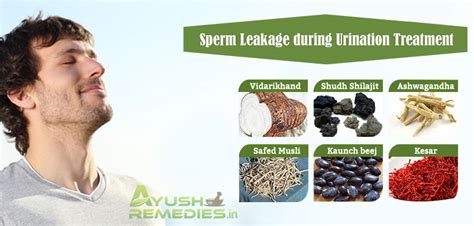 Automatic Sperm Leakage Reasons Sperm Comes Out During Urination