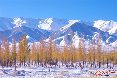 Xinjiang What A Fairyland