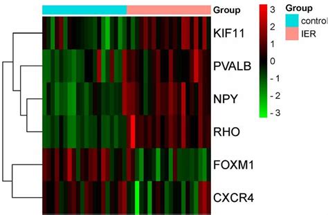 Expression Levels Of Hub Genes In The Adipose Of Lean Obese Mice The