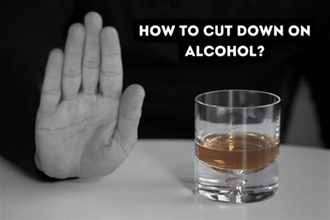 All You Need To Know About Alcohol Anatolijfitness