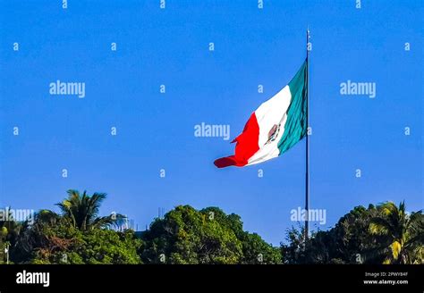 Mexican green white red flag with palm trees and blue sky and clouds in Zicatela Puerto ...