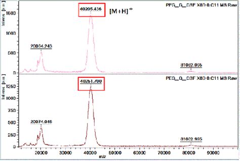 Phân tích Protein & Proteomics