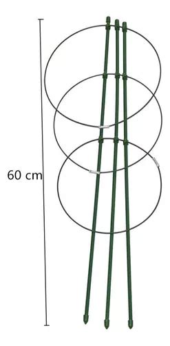 Jaula De Soporte Para Plantas Soporte Para Trepar Planta60cm Cuotas