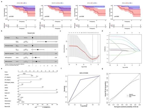 Clinical Analysis Of Cdc Rad Ap Etc And Spag A The