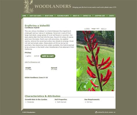 Woodlanders CCI Client