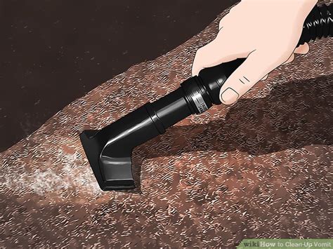 How to Clean Up Vomit: 12 Steps (with Pictures) - wikiHow