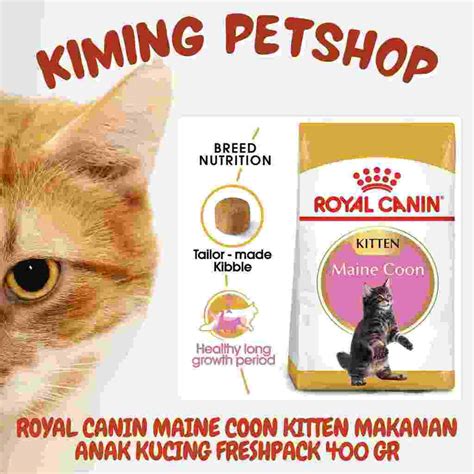 Jual Royal Canin Kitten Mainecoon Makanan Kucing Untuk Maine Coon