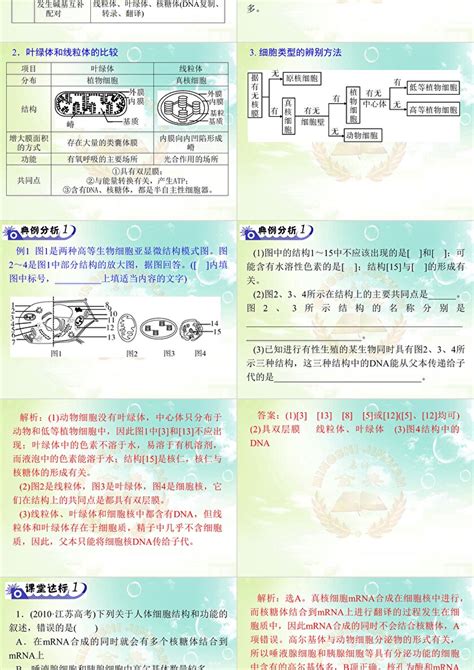 2012年高考第一轮复习 名师金典 必修1 第3章第2节细胞器—系统内的分工合作ppt卡卡办公