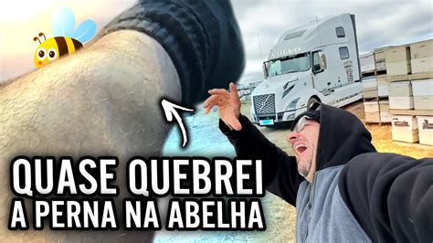 SOFRI UM ACIDENTE NO CARREGAMENTO DAS ABELHAS YouTube