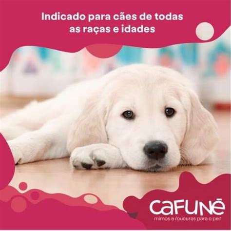 Tapete Higi Nico Pet Cafun Unidades X Cm Honjopet Pet Shop