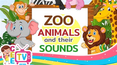 Zoo Animals Names And Sounds English Vocabulary Words For Toddler