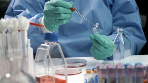 Antikor Sayımı İçin En İyi Teknik Nedir? - Lab Akademi