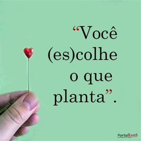 Você es colhe o que planta Frases inspiracionais Citações sábias