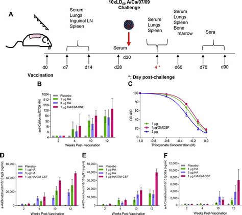 Gm Csf Improved Antibody Responses And Avidity When Included In Mn