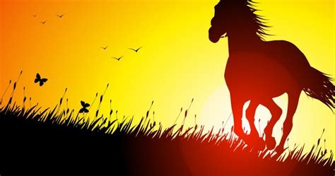 Pictures Blog: Horses Running in The Sunset