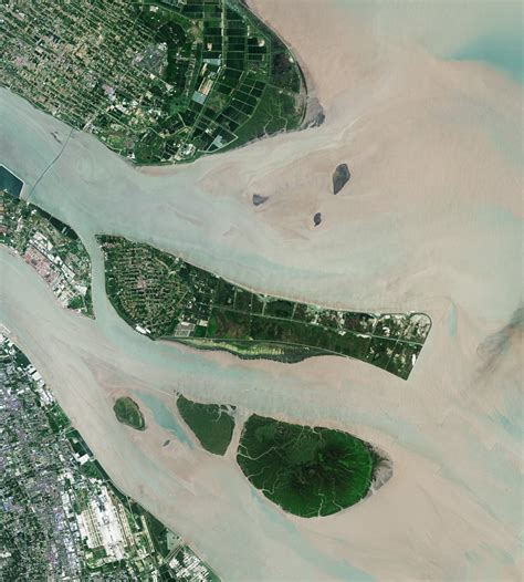 NASA Scientists Map Global Salt Marsh Losses and Their Carbon Impact