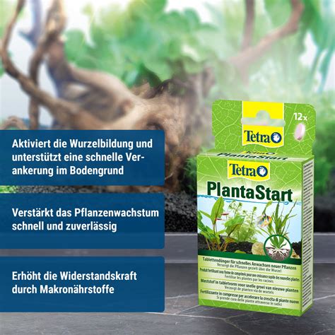 Tetra PlantaStart, 12 tablets - Olibetta Online Shop
