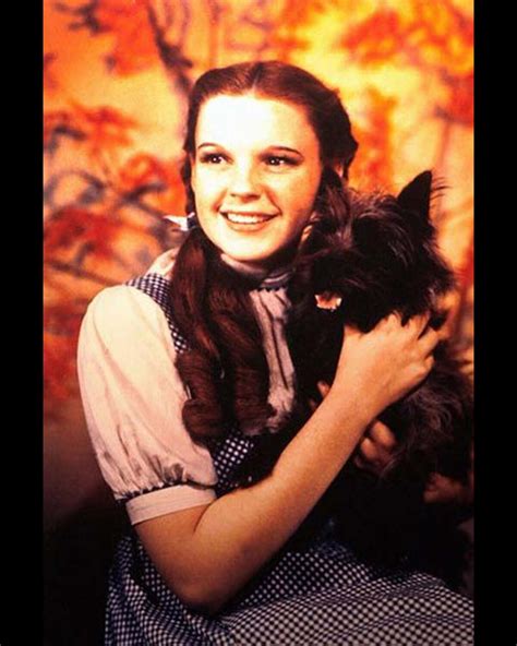 Photo Judy Garland Et Son Chien Dans Le Magicien D Oz 1935 Purepeople