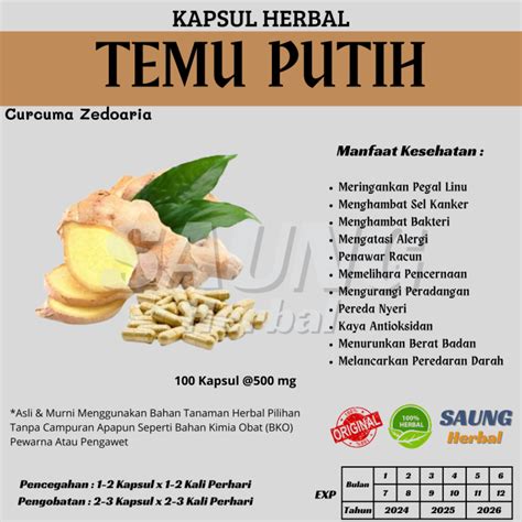 Kapsul TEMU PUTIH 100 Kapsul Herbal Curah Herbal Kanker Dan Pegal