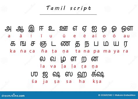 Tamil Alphabet Chart With Romanized Transliteration For Learning Vector ...