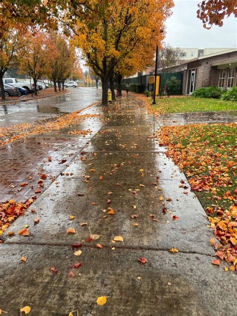 the sidewalk is covered with fallen leaves and has no cars or people on ...