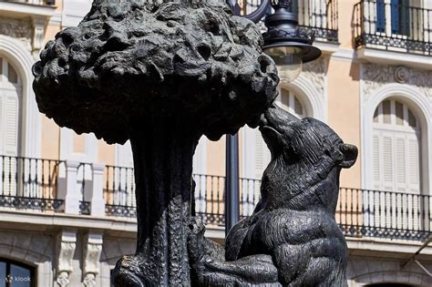 Explore Madrid with a Reina Sofía Museum and Walking Tour - Klook