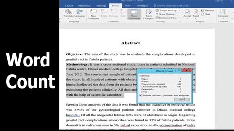 How To Count Word In Microsoft Word Document 2017 Youtube