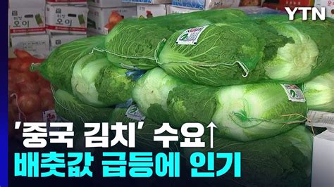 배춧값 급등에 중국산 포장김치 수요 증가 Ytn Youtube