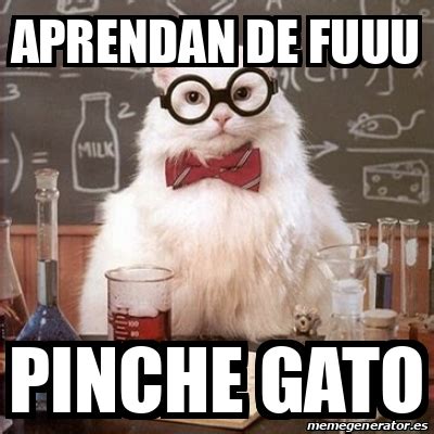 Meme Chemistry Cat - aprendan de fuuu pinche gato - 32037825