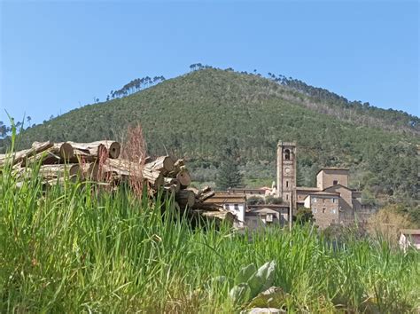 Borgo Delle Camelie In Toscana Esperienziando Vitae