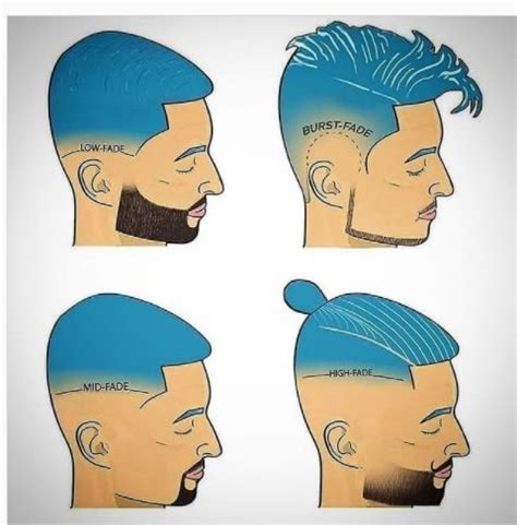 Low Fade Vs Mid Fade Vs High Fade Hairstyles 2024 - Hair Everyday Review