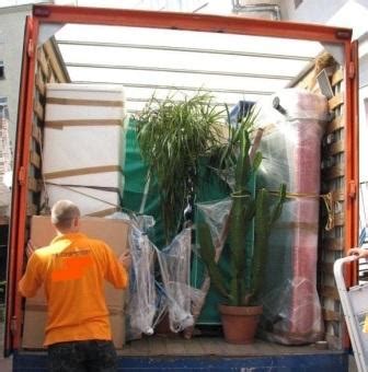 Как перевозить комнатные цветы » Правила перевозки и упаковки растений ...
